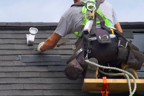 Best Residential Roof Replacement  in Waimea, HI